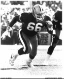 wilkins